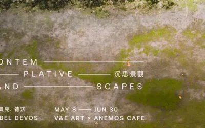 Contemplative Landscapes by Isabel Devos